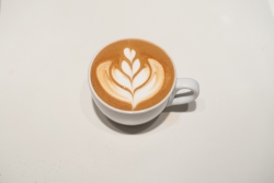 Zuluafonu miss latte art