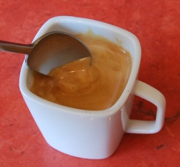 dsc0231v